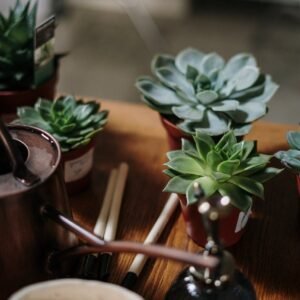 Servicios Diseño artesanal en Barcelona